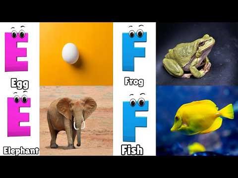 Phonics Song with TWO Words - A For Apple - ABC Alphabet Songs with Sounds for Children