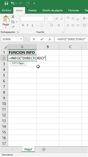 Función INFO en Excel: Descubre datos ocultos de tu PC y archivo 📊💻 #excel #shorts | Kevin Ramirez