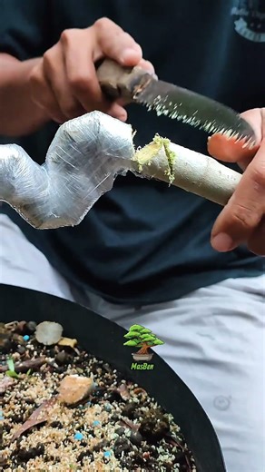 Creating Impossible Curves: Bonsai Notch Technique