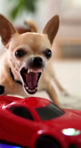 Tiny Hunter Mode 🎯