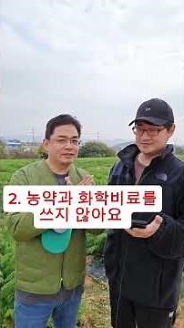 Order Muan Farmer Jeong Chang-an's organic carrots now~ 010-4324-5412