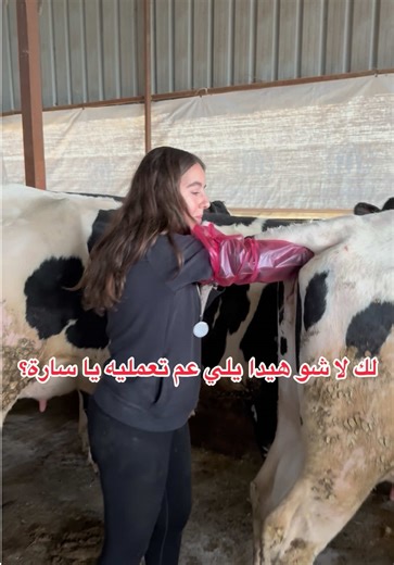 Coeur de Lait : La Magie du Lait de Ferme