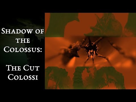 Shadow of the Colossus - The Cut Colossi