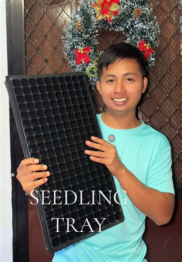 Best Seedling Trays for Successful Gardening