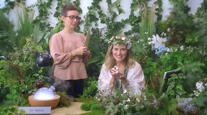 Cozy up your home when the nights grow short and the air grows cold with Young Living’s exclusive Winter Nights essential oil blend! | Young Living USA