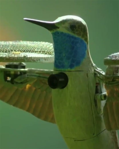 How Drones Will Feed the World #Innovation #Agriculture #shorts