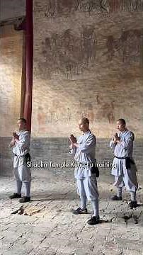 Can Foreigners Train at Shaolin Temple? 🇨🇳 (Real Kung Fu Tour)