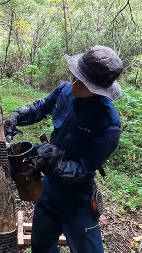The $1000 Lacquer Made From Tree Sap