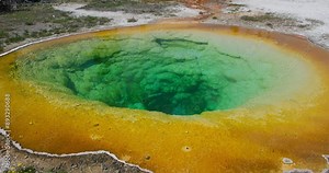 colorful Morning Glory Pool hot spring in the Yellowstone Upper Geyser Basin of the United States