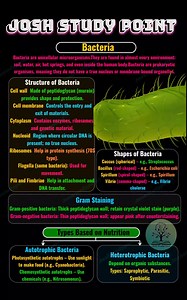 Bacteria are microscopic, single-celled organisms found everywhere around us. Learn about their structure, shapes, types, and importance (useful & harmful) with clear NCERT-based study notes. Perfect for quick revision, diagrams, and board exam preparation ✔📚 #Bacteria #Microorganisms #BiologyNotes #NCERTBiology #Class9Biology #Class10Biology #ScienceConcepts #HumanHealth | Josh Study point