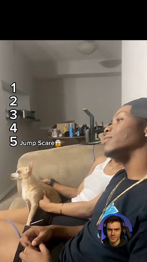 People scaring dogs… and the reactions are absolutely hilarious  Jump scares, sudden pranks, surprise attacks — these dogs never see it coming! If you love funny dog videos, dog reactions, and dog compilations, this one will make your whole day.  Tell us: Which scare was the funniest?  Follow our page for daily funny dog videos! ✨ #DogScarePranks #FunnyDogs #DogReactions #DogVideos #DogHumor #DogCompilation #PetLovers | Yogurin | Facebook