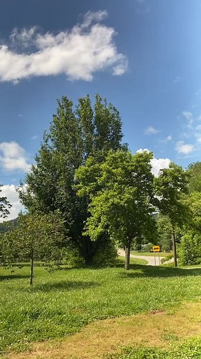 What tint officer? #tintedwindows #chevygang #chevygirl #truck