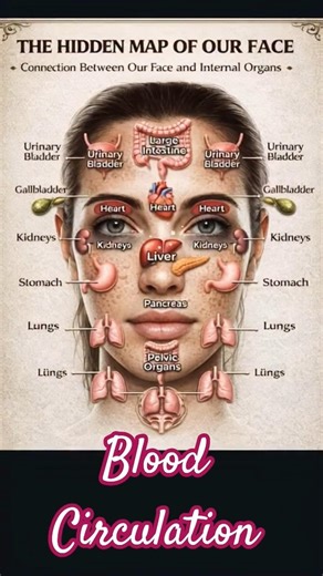 face and organs 🗿 #shorts #ytshorts #sciencefacts