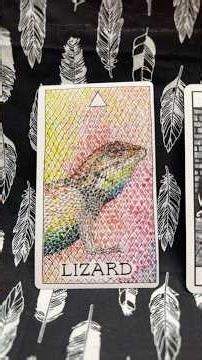 Tarot reading of the day using the Wild Unknown Animal Spirit Oracle deck as our energy