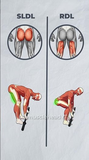 RDL vs SLDL 🔥 What’s the REAL Difference? | Deadlift Explained