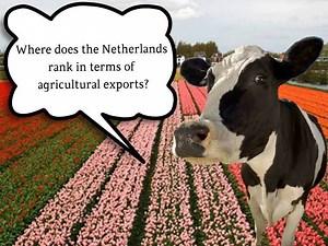 Innovation and research are key in Dutch #agriculture and #horticulture. But where does the Netherlands rank in terms of agricultural exports? → http://nlintheusa.com/agrifood/ | Embassy of the Netherlands in the United States