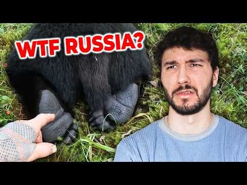 The most Random Videos on the Internet