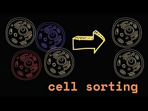 Cell sorting- a brief introduction