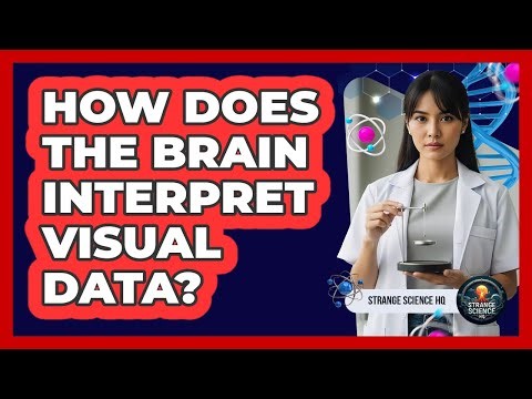 How Does The Brain Interpret Visual Data?