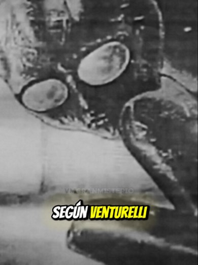 En 1996, la ciudad de Varginha (Brasil) fue escenario de uno de los casos OVNI más impactantes de la historia, conocido como el Roswell brasileño. Décadas después, un neurocirujano, un piloto y un médico forense revelan detalles inéditos sobre el alienígena de Varginha, el misterioso metal con memoria, la intervención militar y la muerte de un soldado tras el contacto directo con la entidad. Testimonios reales, evidencia biológica y tecnología imposible que desafían la ciencia oficial y mantiene