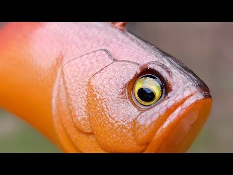 How to paint with an airbrush the Custom Bait Works Level Vib in Hot Lava #bassfishing #fishing