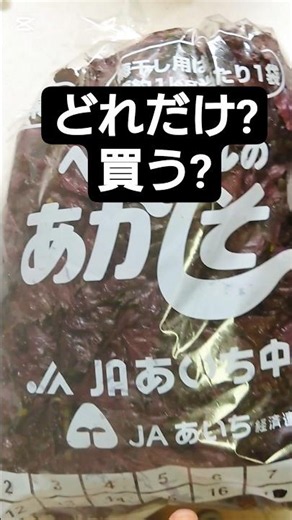 ④あかしそ何袋買えば良いの？もむときの塩の量は？我が家の成功例はこちら