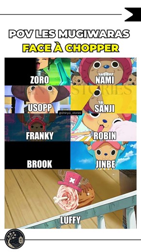 👉 POV : comment l’équipage des Mugiwaras voient Chopper ? 😂
