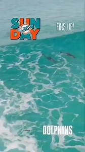 6K views · 450 reactions | GAMEDAY ROLL CALL!! What Area Code You Represent The Miami Dolphins From? . . . . . #miami #dolphins #fins4life #miamidolphins #finsup | MIAMI DOLPHINS BANDITS | Facebook