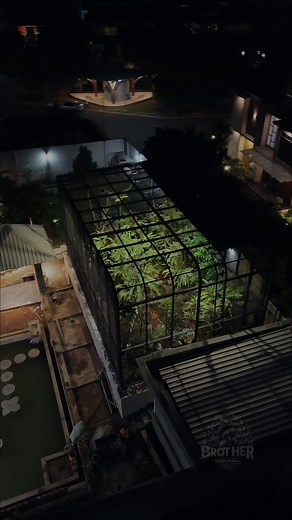 Next Level Aviary: Mastering Landscape with Birds