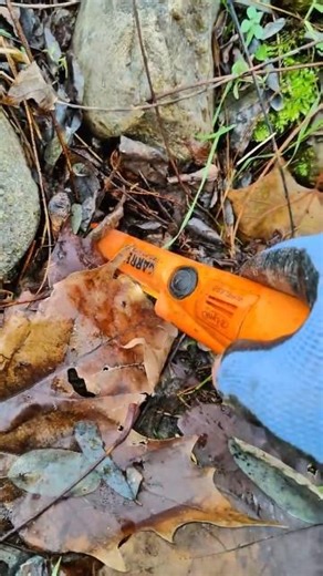 Incredible Find by a Treasure Hunter in the Woods with a metal detector #metaldetecting #viralshorts