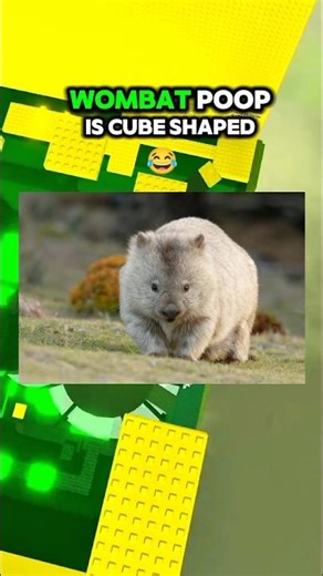 weirdest facts about world 😅#roblox #robloxmemes #robloxrant