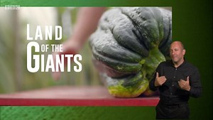 Land of the Giants b0920z10 signed