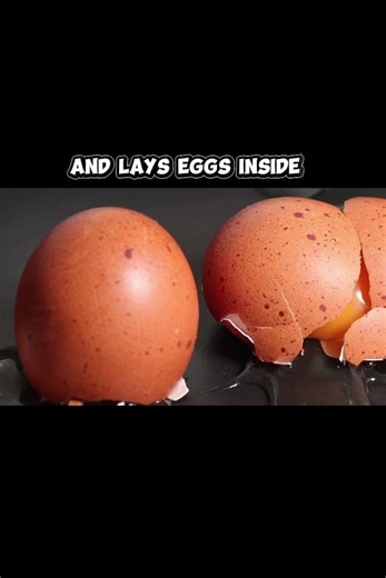 This Creature Lives Under Your Skin 😨 (REAL)