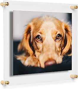 Amazon.com - COOL MODERN FRAMES 8x10" Clear Double Panel Floating Acrylic Picture Frame Display with Gold Hardware for Displaying Art and Photos on Wall