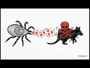 Australia's Ticking Threat