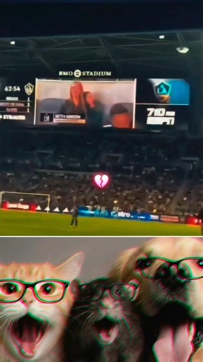 The Funniest Grill Record Ever Captured 🗿!#shorts​ #funny​ #cat​ #trending​