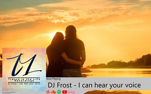 DJ Frost - I Can Hear Your Voice (Original Mix)