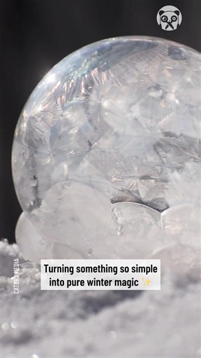 12K views · 12 reactions | Have you seen a bubble freeze? | Science, Tech and Universe | Facebook