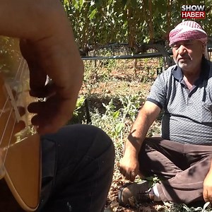 "Delice beyazı" üzümü hasadı başladı: 3 dönüm bağdan 8 ton çıktı, 240 bin liraya sattı Kırıkkale'nin Delice ilçesinde yetişen ve "Delice beyazı" olarak bilinen coğrafi işaretli üzümün hasadı başladı. 3 dönümlük bağdan çıkartılan 8 ton üzüm 240 bin liradan alıcısına gönderildi. #showanahaber #haber #çiftçi #tarım | Show Ana Haber