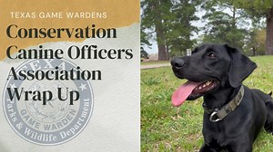The Texas Game Warden K9 Team hosted the Conservation Canine Officers Association Annual Conference at Bastrop State Park - Texas Parks and Wildlife. Conservation Law Enforcement officers from agencies across the country attended the conference to learn different K9 training techniques and exchange ideas on everything from search and rescue operations to leadership in the field. Great work done by the TPWD K9 team for their continued collaborations and networking with their conservation peers. B