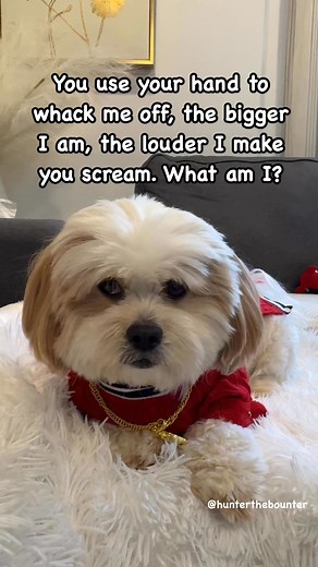 I know what we’re you thinking 🤔😂 #memes #humor #comedy #funnyreels #fyp #funny #jokes #explore | Hunter the Bounter