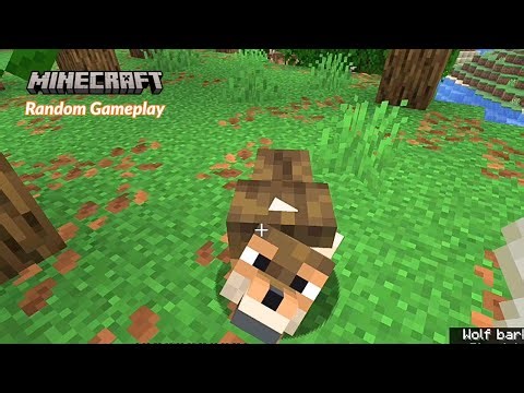 Minecraft Random Gameplay