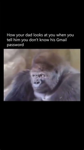 When your dad asks you for his gmail password #funny #shorts #youtube #song #music #comedy