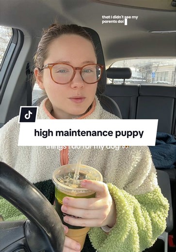 High Maintenance Puppy Care Tips for Dog Owners