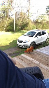 I almost died via chicken. | Fire Department Chronicles