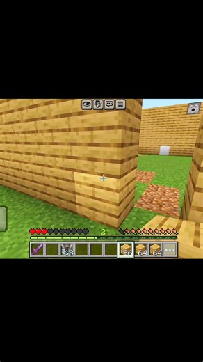 Minecraft #minecraft iron man #shotr #viral