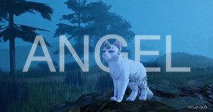 new wcue creator!! first lore video :) #wcue #wcueroblox #wcuefyp #wcueedit #warriors #warrior #warriorcats #warriorcatsultimateedition #warriorcatsultimateeditionroblox #fy #foryou #fyp #foryoupage #edit #roblox #robloxfyp #robloxedit #robloxwcue #quewcue