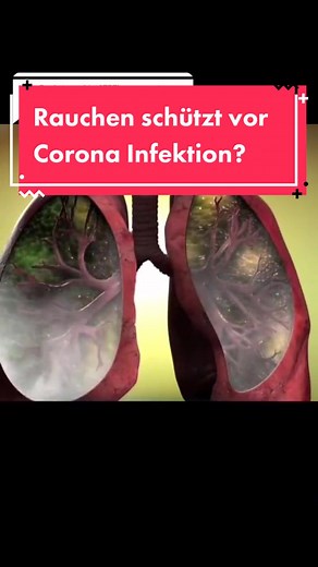 #stitch mit @healthclinic RAUCHST DU? #rauchenisttödlich #rauchenaufhören #rauchen #lernenmittiktoks #nichtrauchen #nichtrauchenistcool #lernen