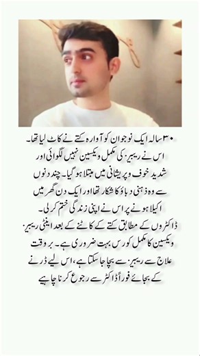 "4 Powerful Quotes That Will Inspire And Guide You Towards Success"