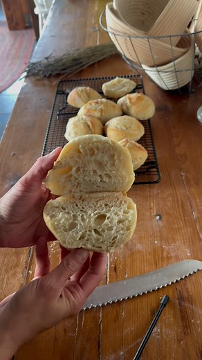 Ashley Turner on Instagram: "Trying to create a mini series on here of all the ways you can use your proofed sourdough aside from just loaves!! Here’s another for you to try. Rustic crusty rolls: You can use with any sourdough recipe!! These make an amazing crunchy sandwich roll. You would do this after your cold proof. Divide the loaf into 6 or 8 with your bench knife (I think next time I’ll try six instead) and place on a parchment lined pan (no need to shape! The idea is to leave them rustic!